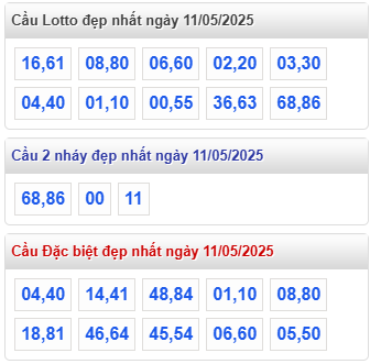 cap lo dep nhat rong bach kim 11 5